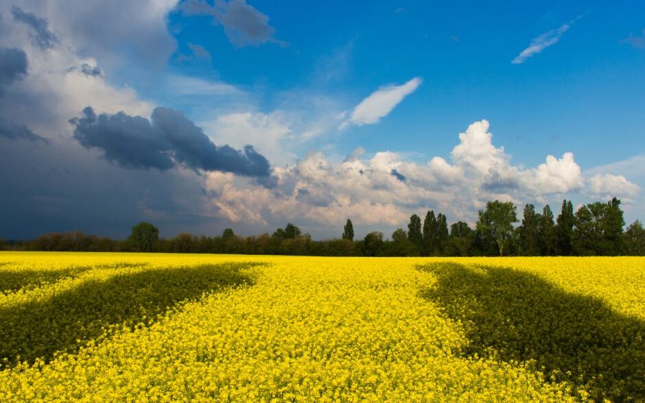 ITL-i liikmed toetavad Ukrainat